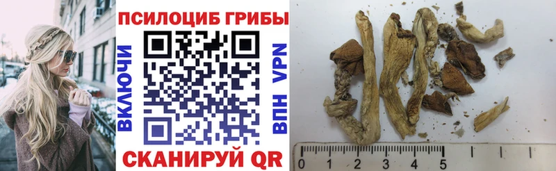 Псилоцибиновые грибы MAGIC MUSHROOMS  Купить где  Венёв 